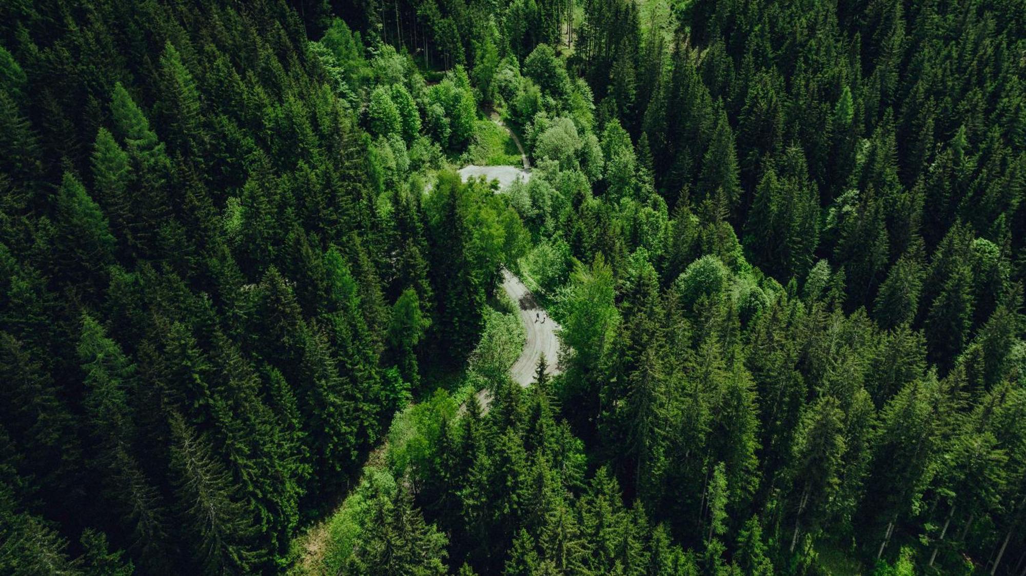 Holzhotel Forsthofalm Леоганг Екстериор снимка